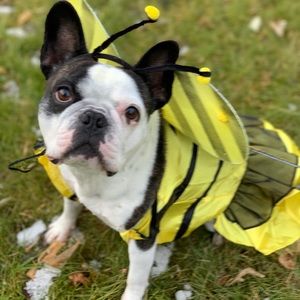 Meet your Posher, Amber